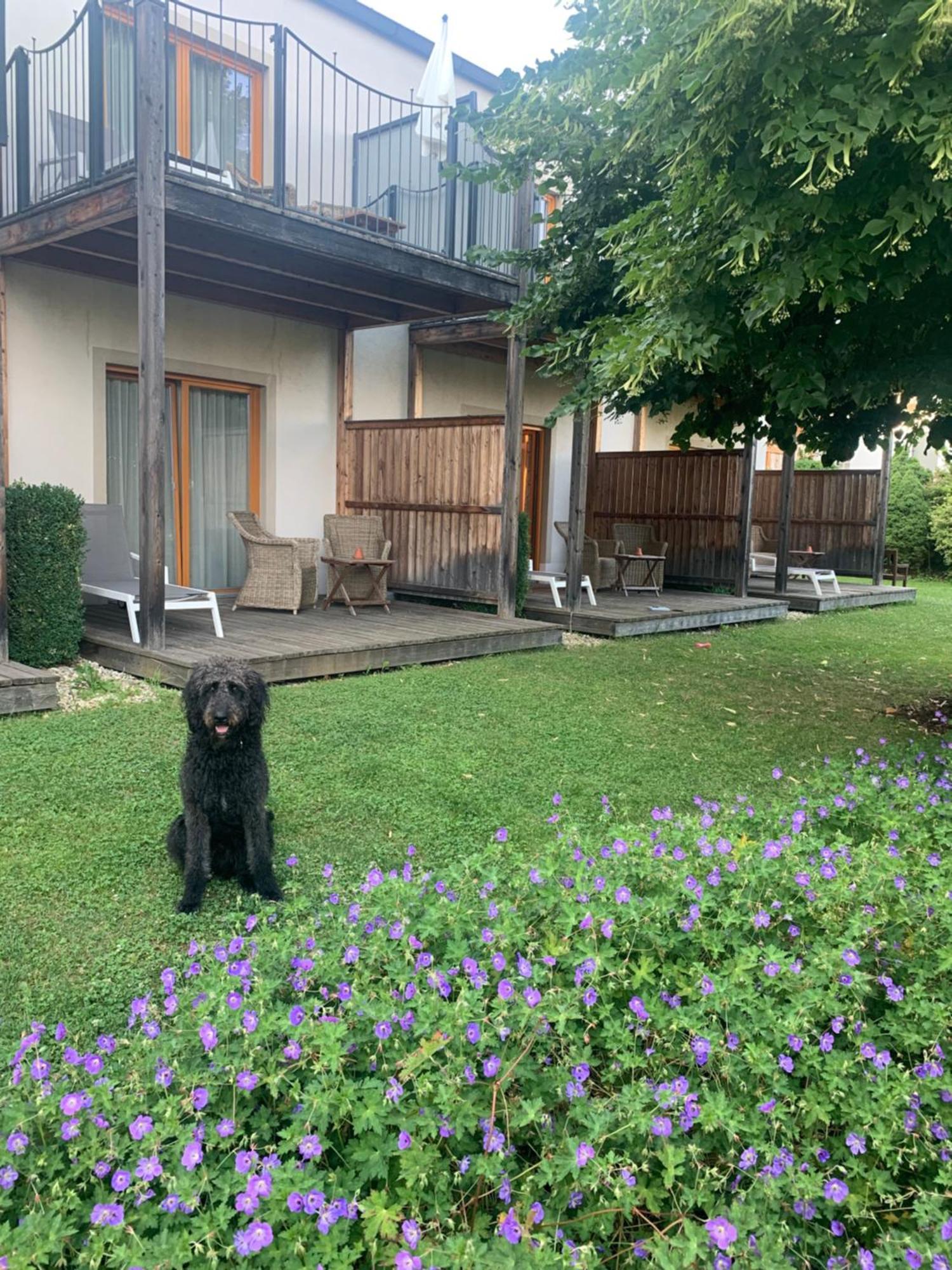 Garten-Hotel Ochensberger Sankt Ruprecht an der Raab Kültér fotó