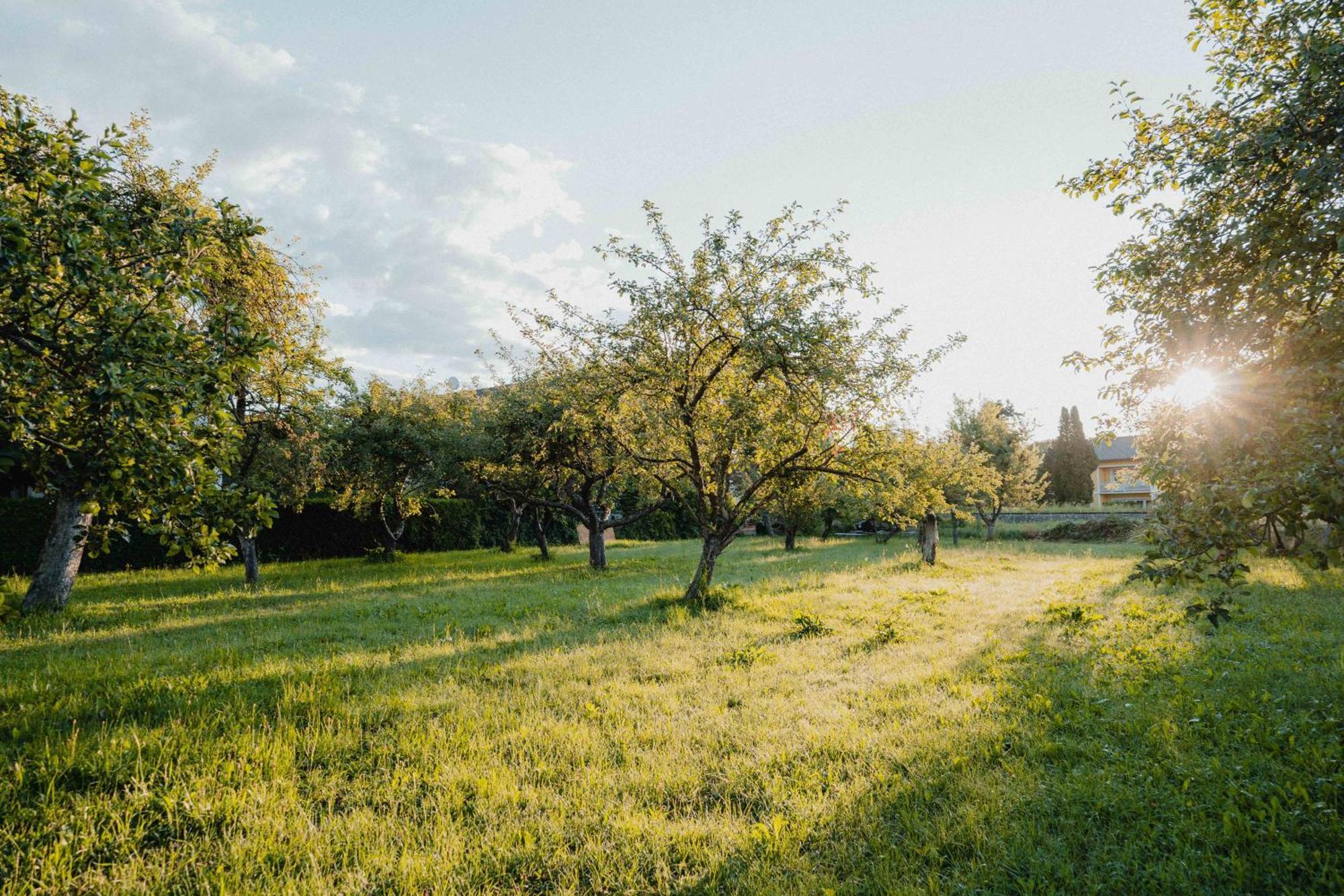 Garten-Hotel Ochensberger Sankt Ruprecht an der Raab Kültér fotó